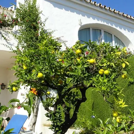 Casa Ranita *